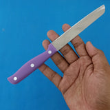 Stainless Steel 8.5 inches Kitchen Knife With Plastic Handle