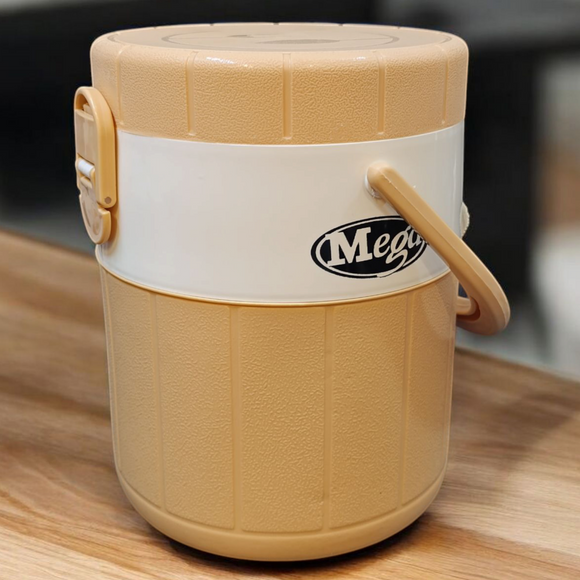 Mega Lunch Carrier & Tiffin 2-Stainless Steel Bowls With Plastic Salad Bowl ( Random Colors Will Be Sent )