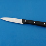 Stainless Steel 8 inches Kitchen Knife With Plastic Handle