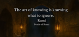 The Art Of Knowing is Know what to Ignore Rumi Printed High Quality Premium Ceramic 250ml Mug