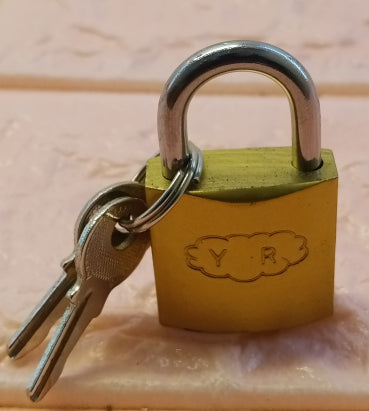 Yurui Metal 25mm Extra Small-Size Lock With ( 2-Keys )
