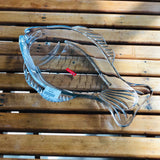 Noritazeh Medium-Size Glass Fish Shape Serving Dish