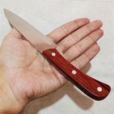 Stainless Steel 8.5 inches Kitchen Knife With Wooden Handle