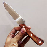 Stainless Steel 8.5 inches Kitchen Knife With Wooden Handle