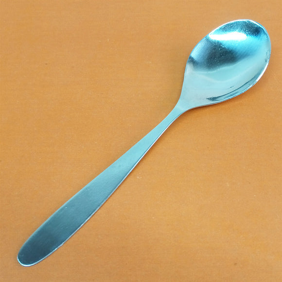 Stainless Steel Large Size Serving Spoon ( One Piece )