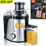 RAF Stainless Steel Electric Fruit Juice Extractor